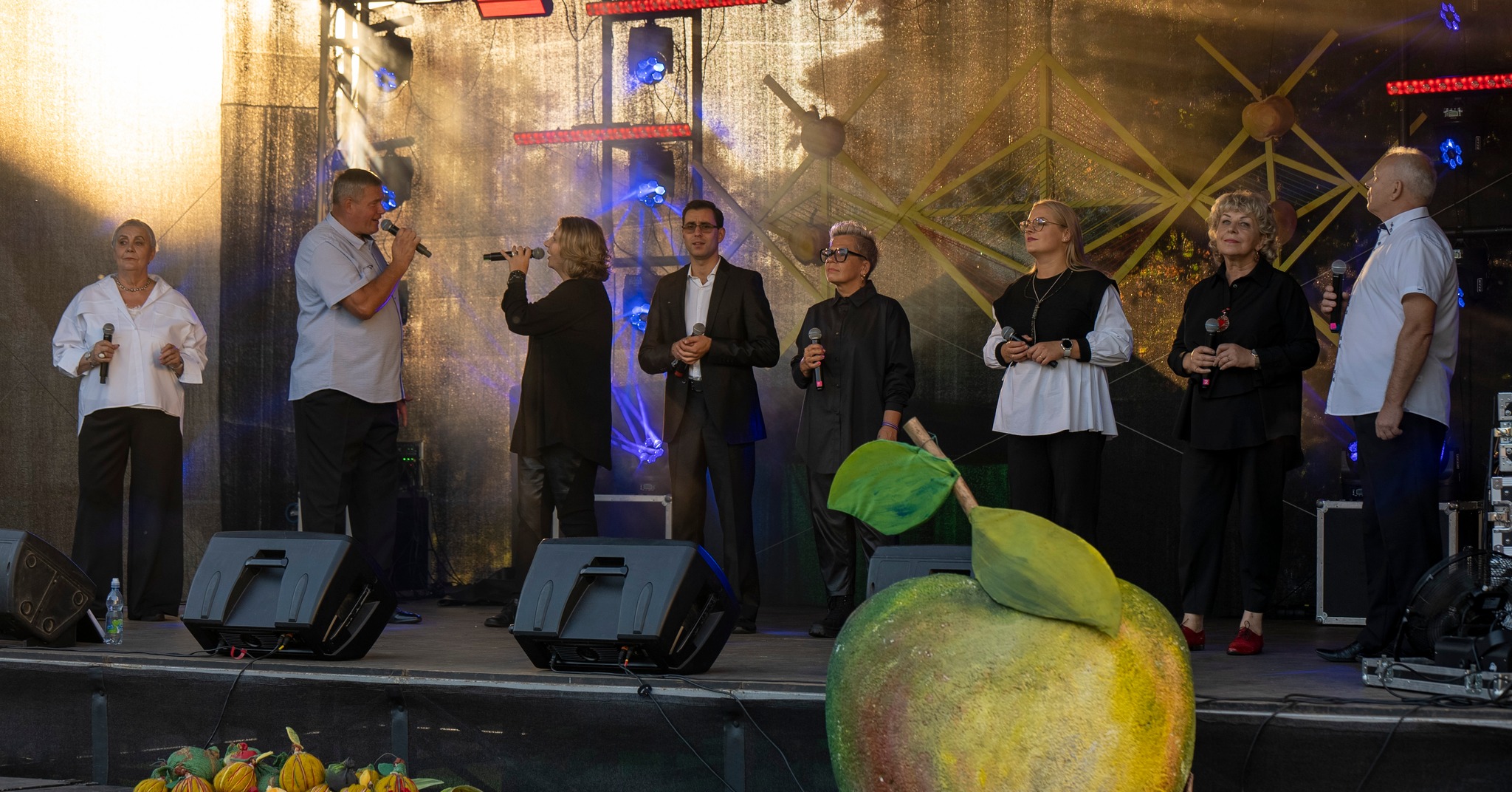 Populiariosios muzikos atlikėjų grupė „Užgaidos“