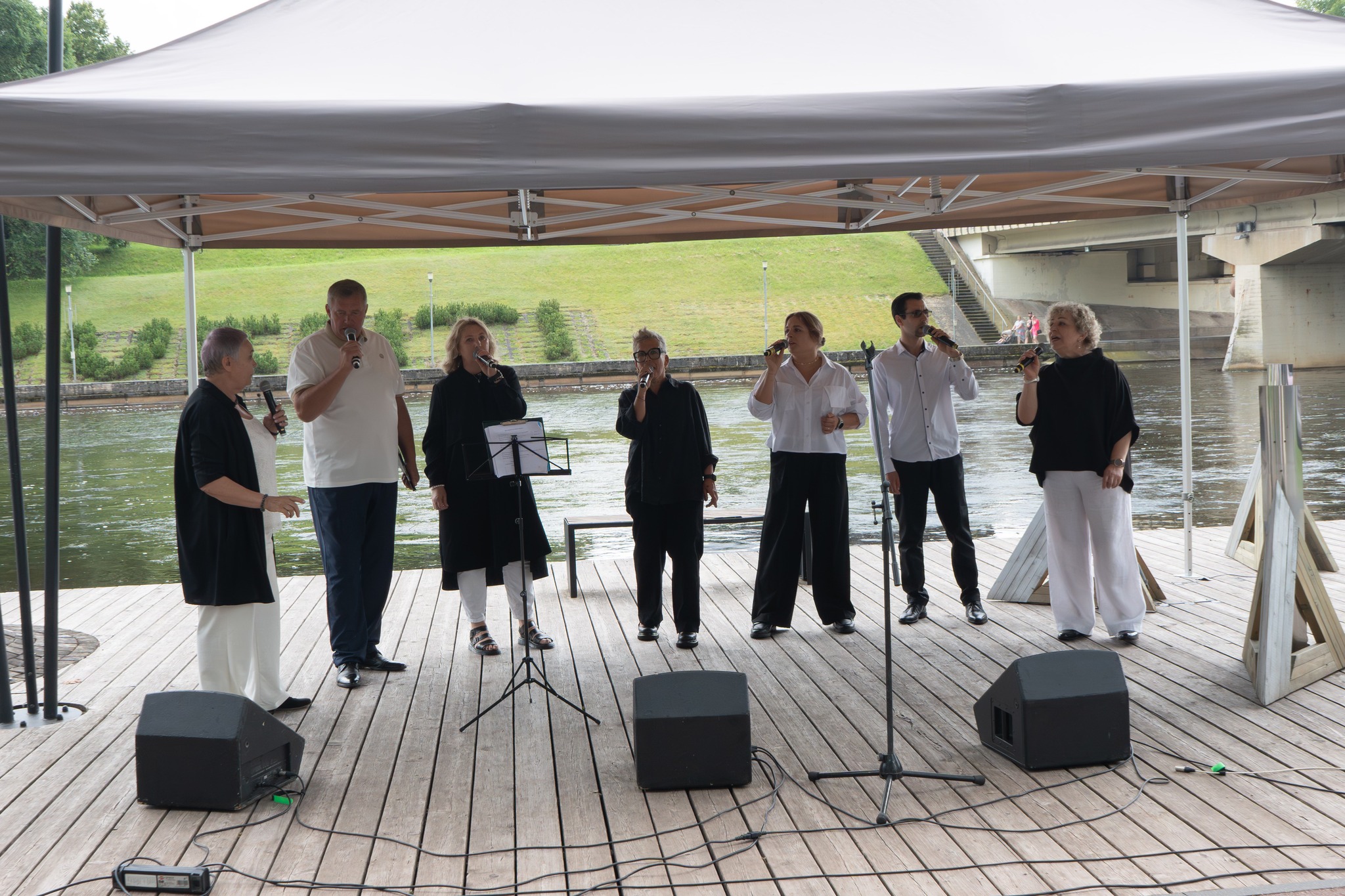 Populiariosios muzikos atlikėjų grupė „Užgaidos“