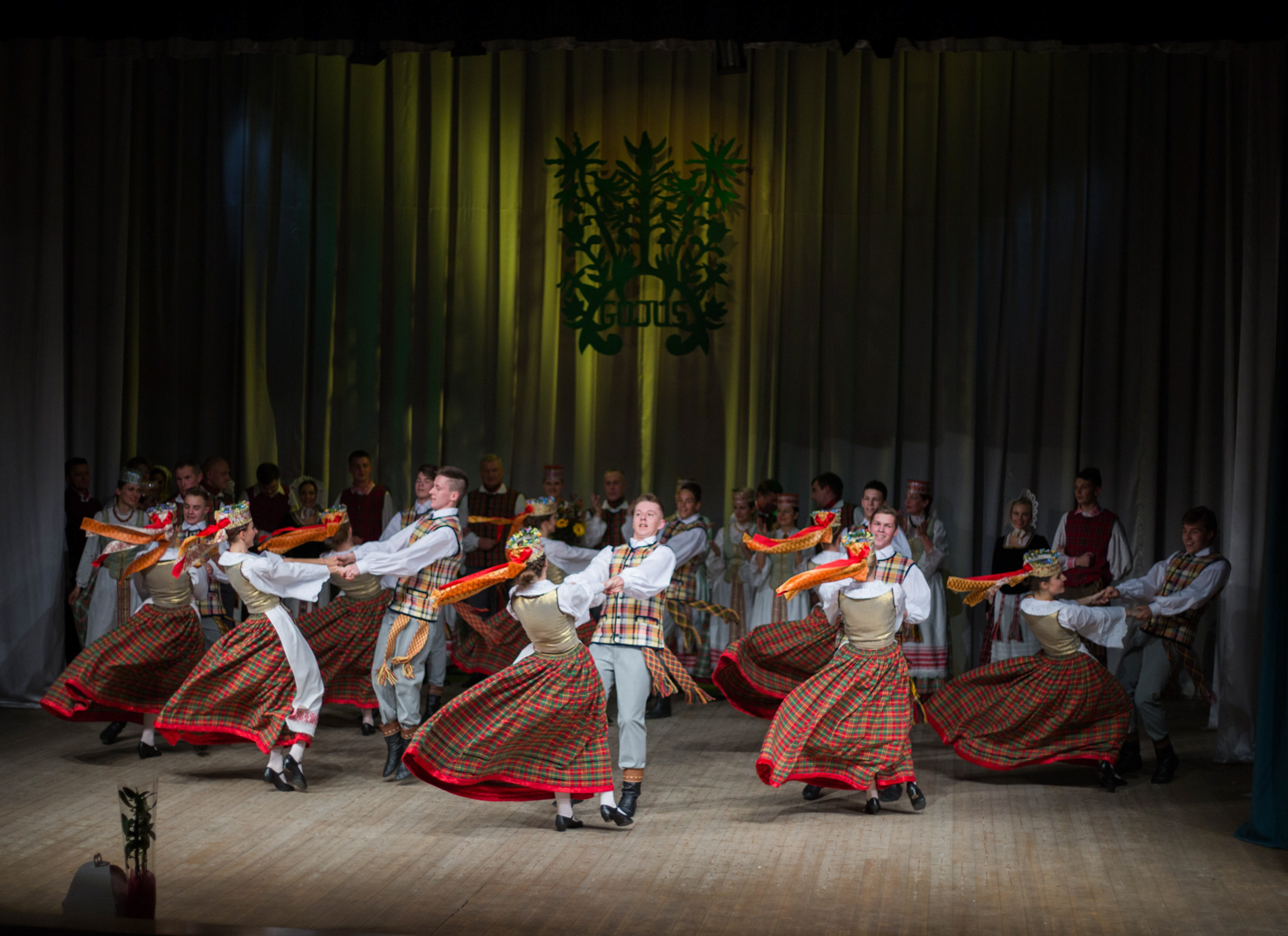 Liaudiškų šokių kolektyvas „GOJUS“